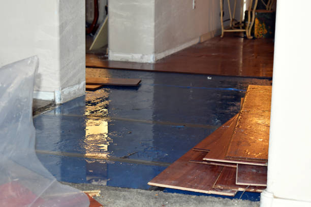 Professional Basement Flood Cleanup technician working in Driscoll, TX